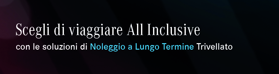 Noleggio a Lungo Termine